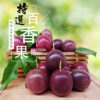 百香果 (惜福果)